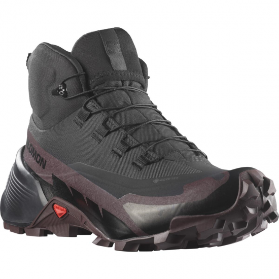 SALOMON apavi Cross Hike Mid GTX 2 W black/violet 