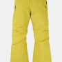 BURTON bikses Boys Barnstorm 2L yellow 