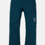 BURTON bikses AK Gore Cyclic dark blue 