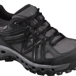 SALOMON shoes Evasion 2 GTX Surround black/grey 