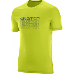 Salomon