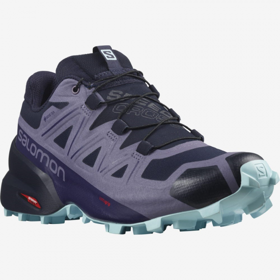 SALOMON apavi Speedcross 5 GTX W violet/blue 